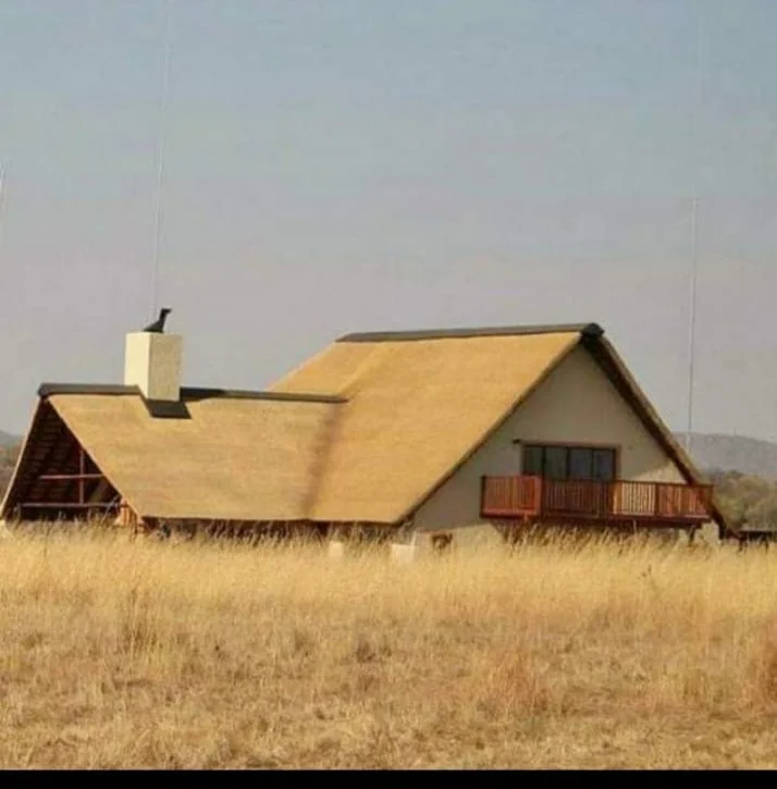 Close-up of premium thatching materials — natural grass reeds